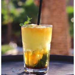 Mojito Jardinero