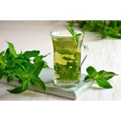 Poleo Menta
