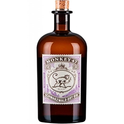ginebra monkey